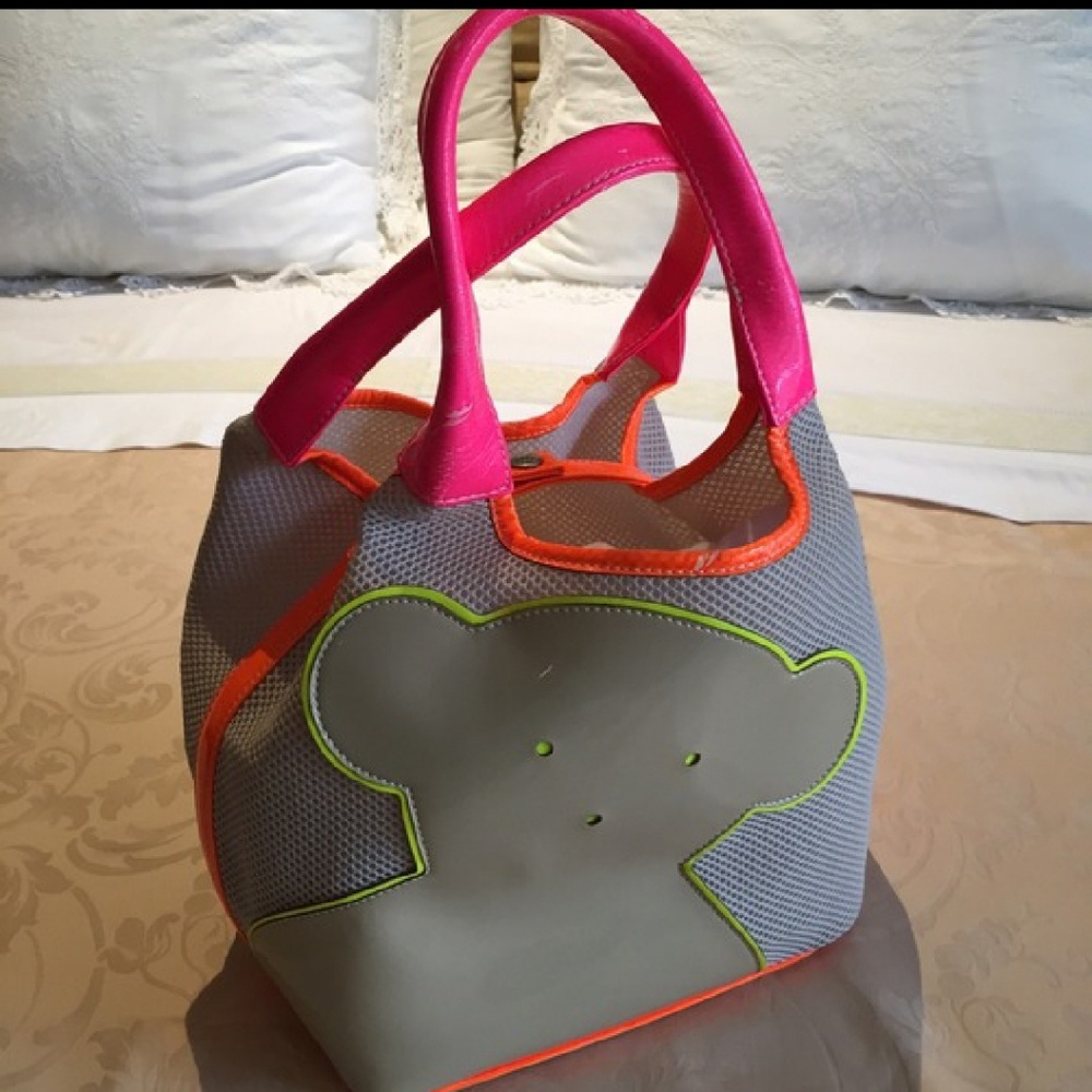 Iso tous beach bag
